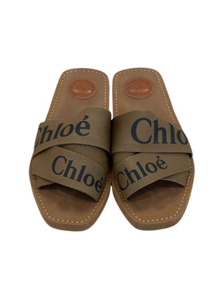 Chloe Woody Logo Slides