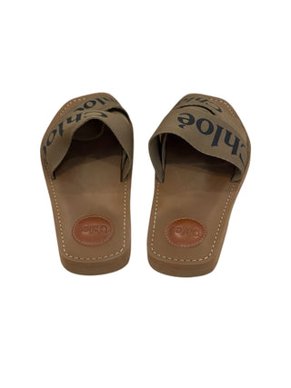 Chloe Woody Logo Slides